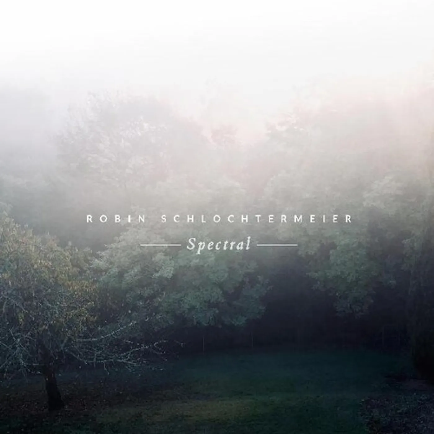 Robin Schlochtermeier Spectral Vinyl Record