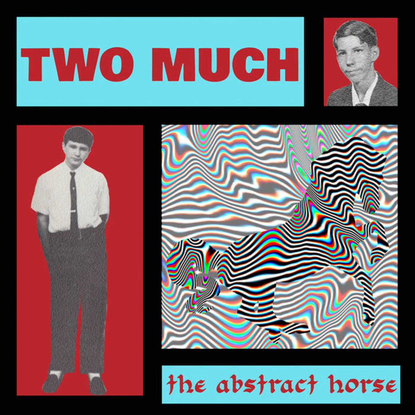 Two Much! ABSTRACT HORSE Vinyl Record