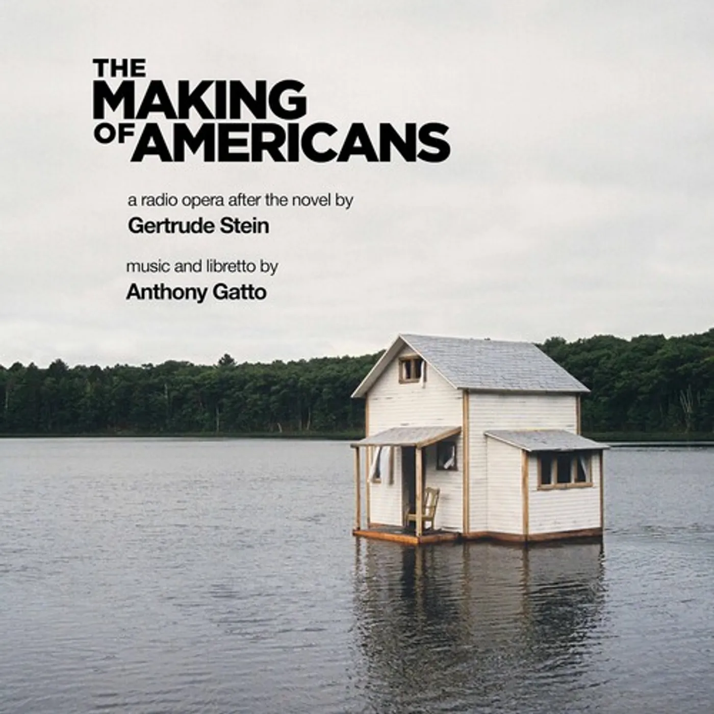 GATTO MAKING OF AMERICANS CD