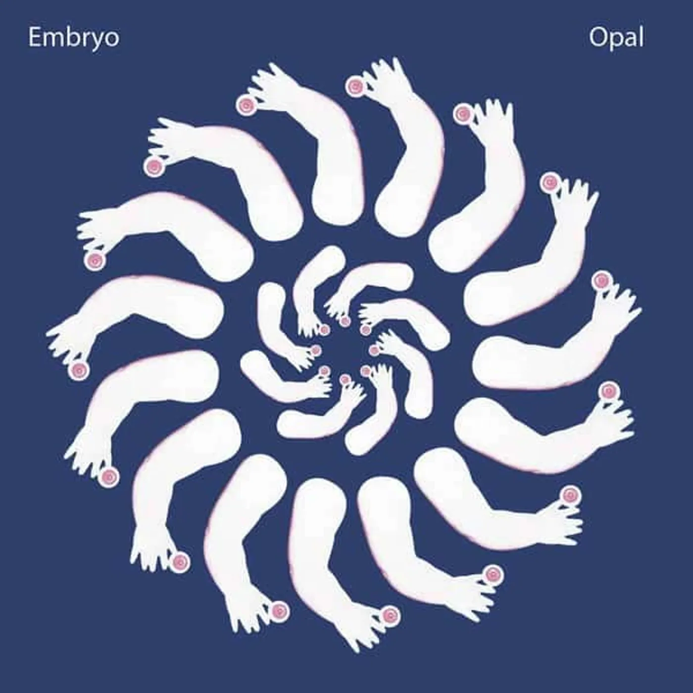 Embryo Opal Vinyl Record
