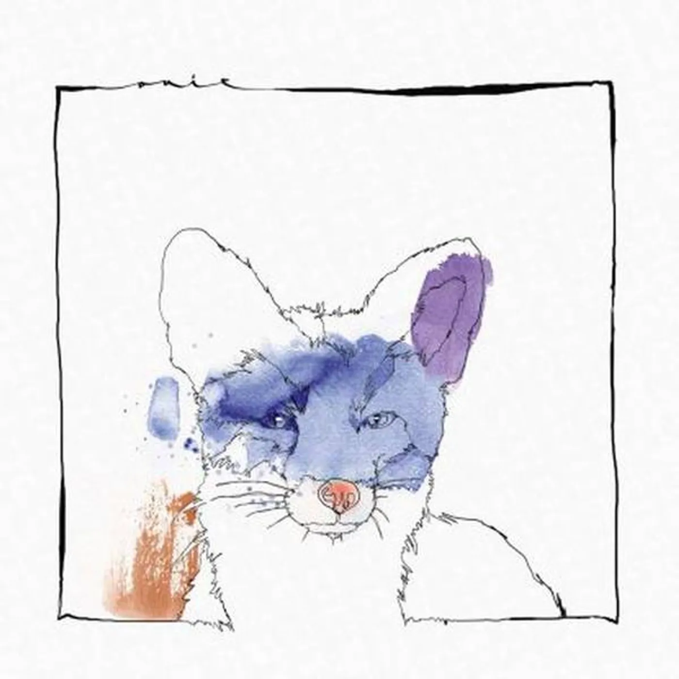 Nico Stojan Cardano Vinyl Record