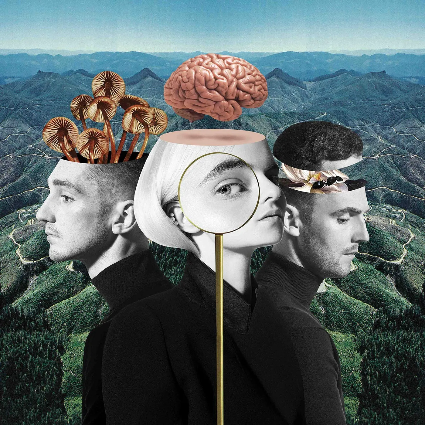 Clean Bandit WHAT IS LOVE CD