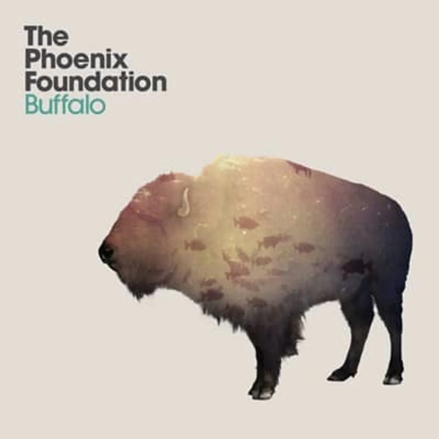 Phoenix Foundation Buffalo Vinyl Record