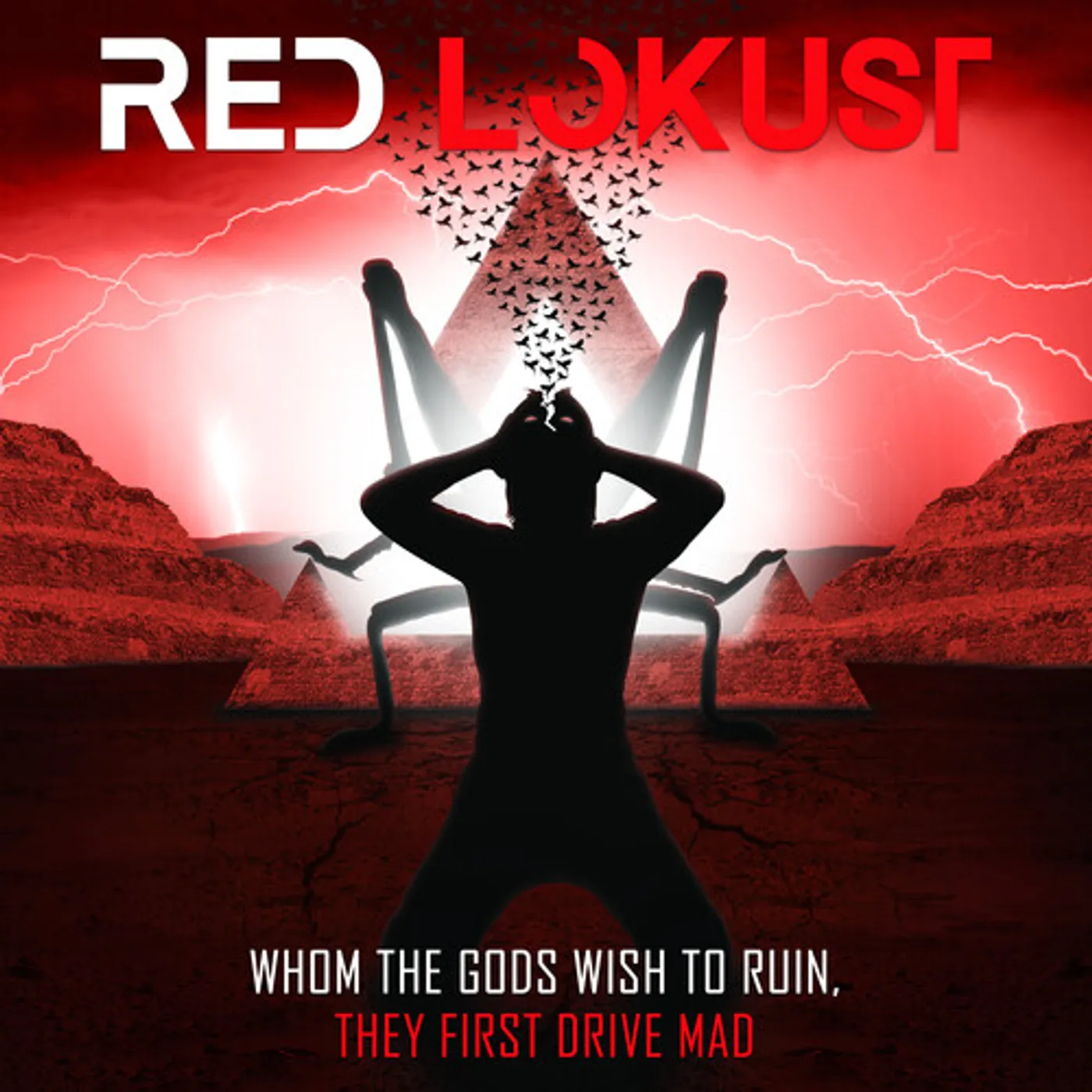 Red Lokust WHOM THE GODS WISH TO RUIN THEY FIRST DRIVE MAD CD
