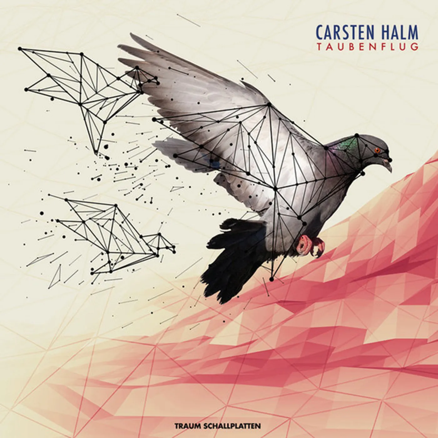 Carsten Halm Taubenflug Vinyl Record