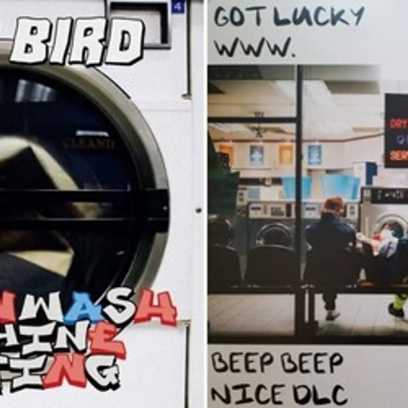 Lady Bird BRAINWASH MACHINE SETTINGS Vinyl Record