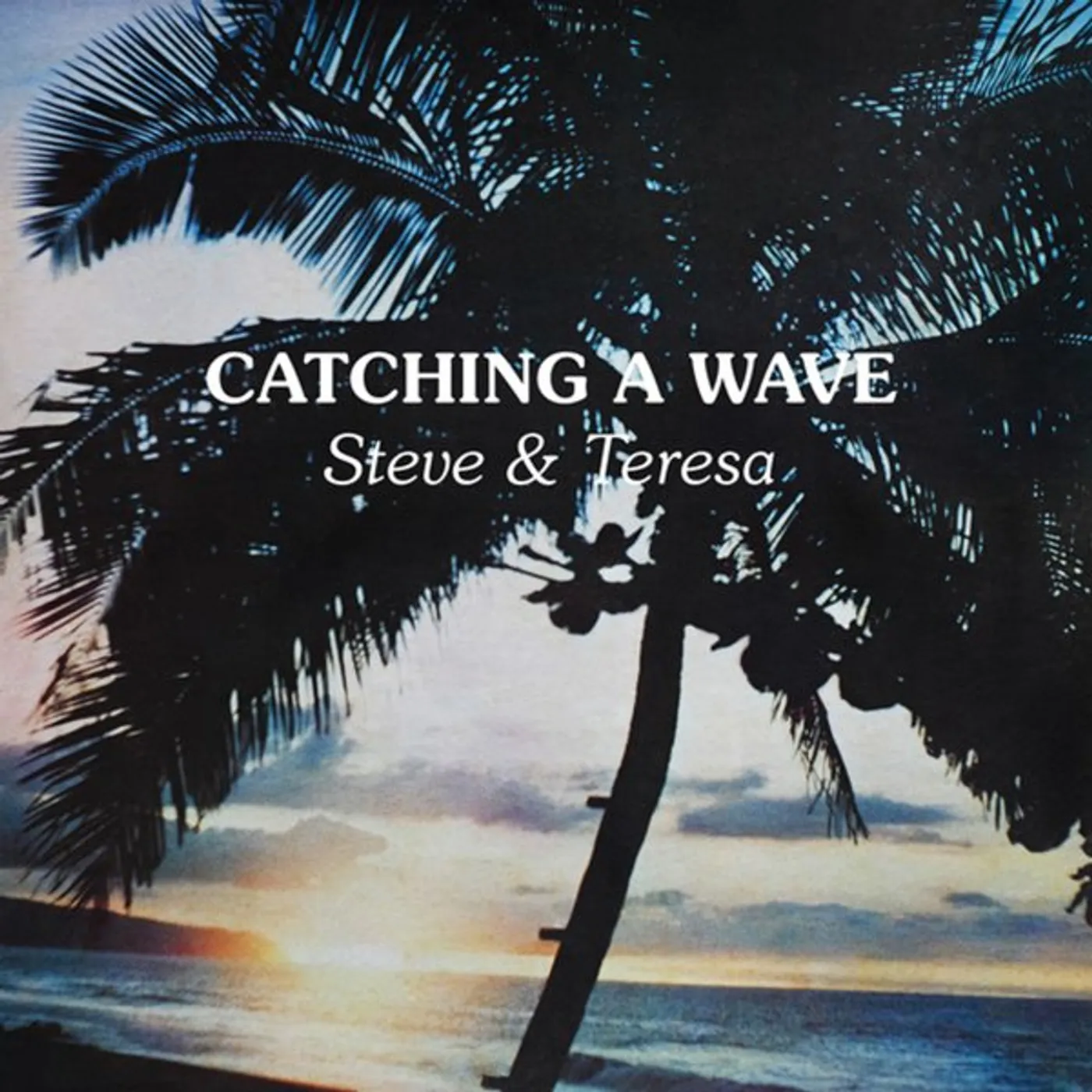 Steve & Teresa Catching A Wave Vinyl Record