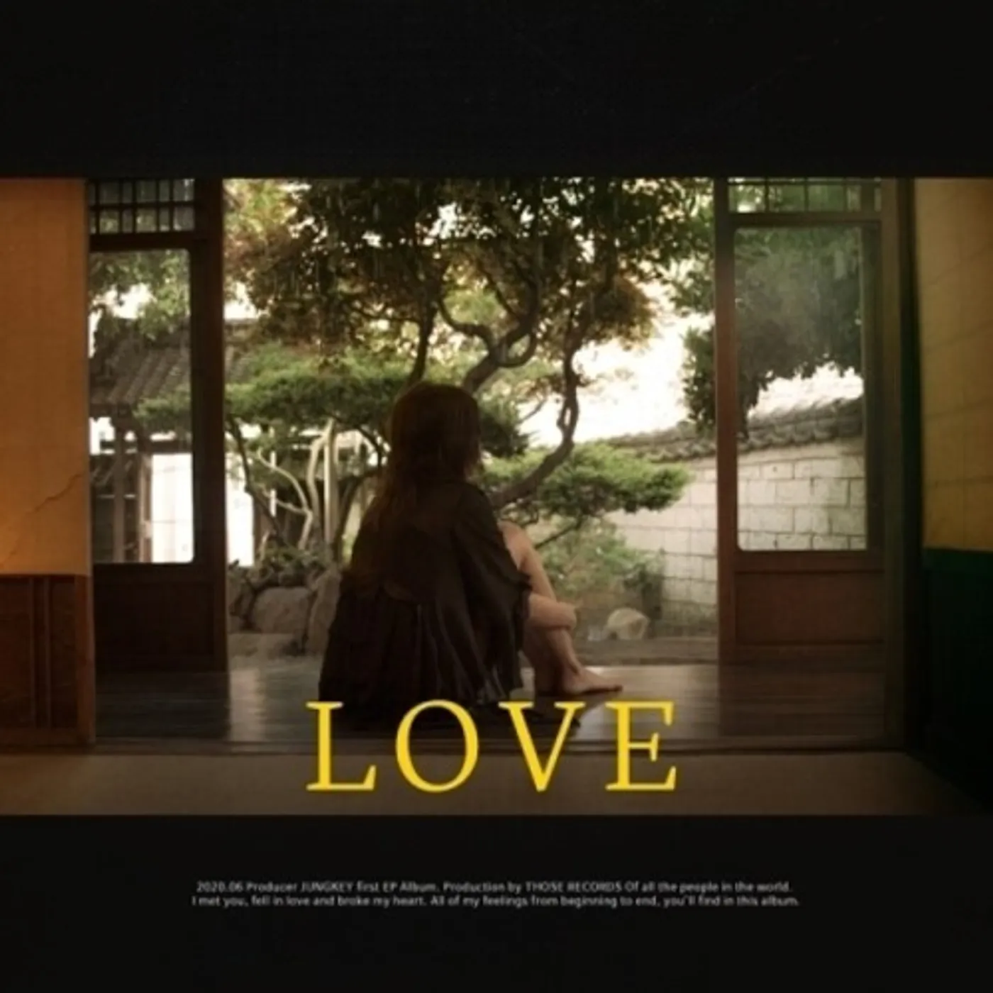 Junkie LOVE CD