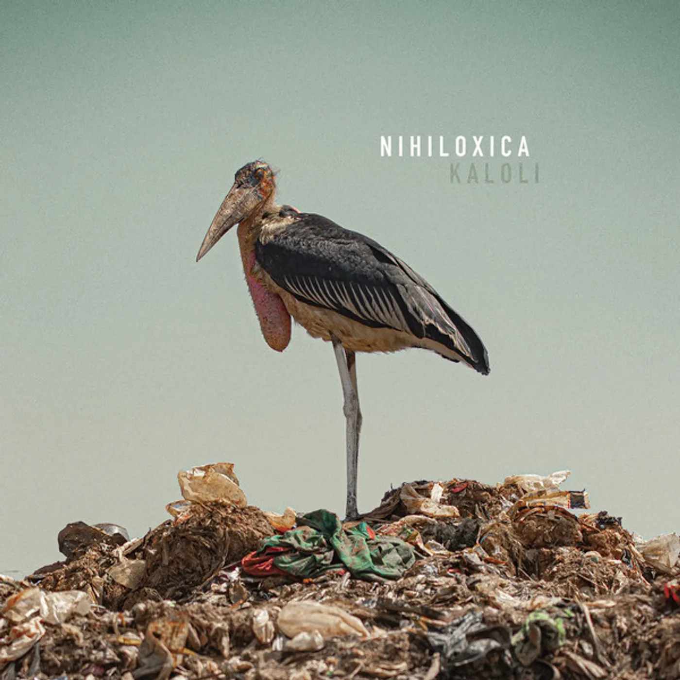 Nihiloxica Kaloli Vinyl Record