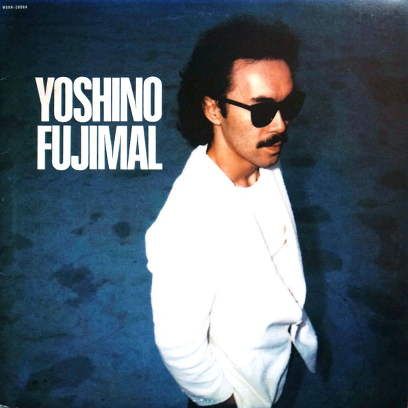 Yoshino Fujimal Vinyl Record