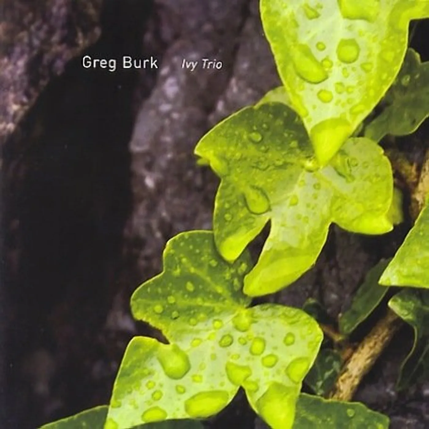 Greg Burk IVY TRIO CD