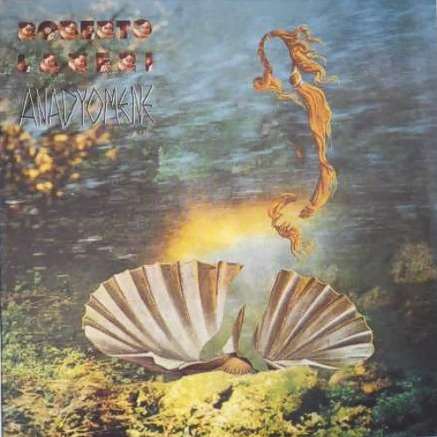 Roberto Laneri ANADYOMENE Vinyl Record