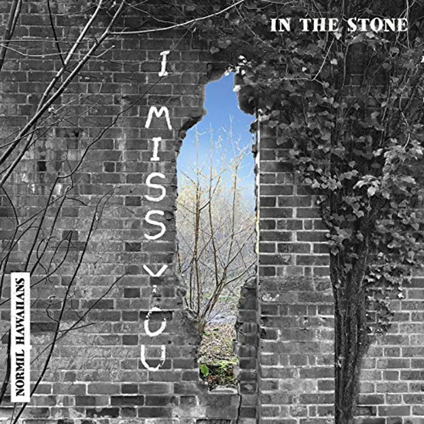 Normil Hawaiians IN THE STONE / WHERE IS LIVING Vinyl Record