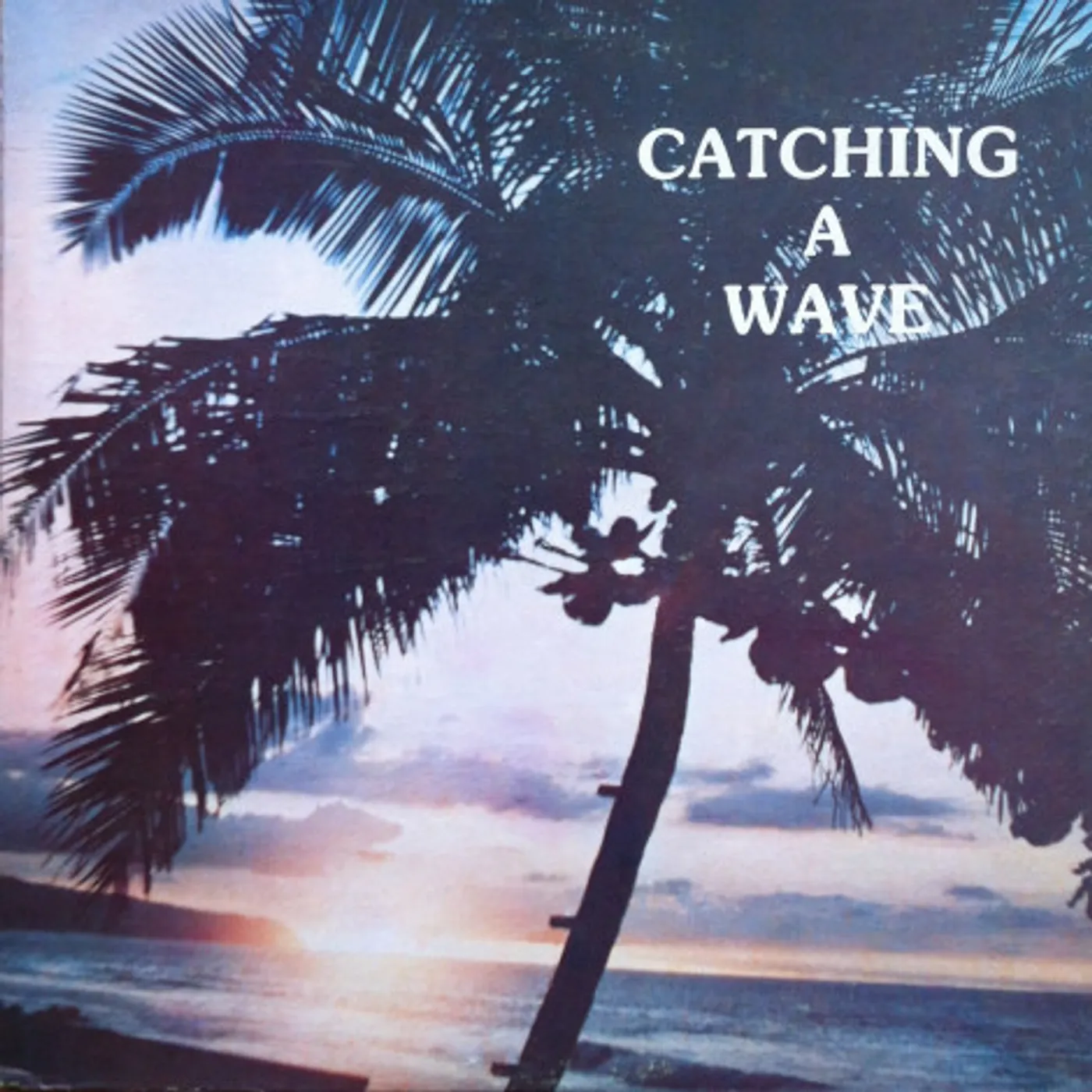 Steve & Teresa CATCHING A WAVE Vinyl Record
