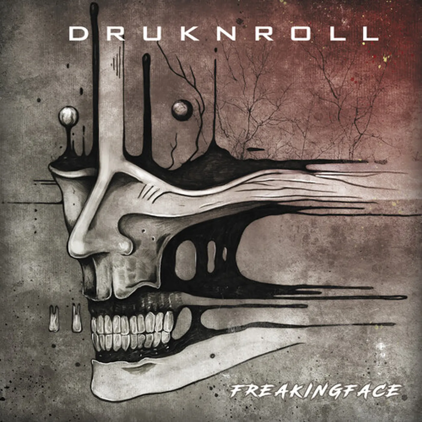 Druknroll FREAKINGFACE CD