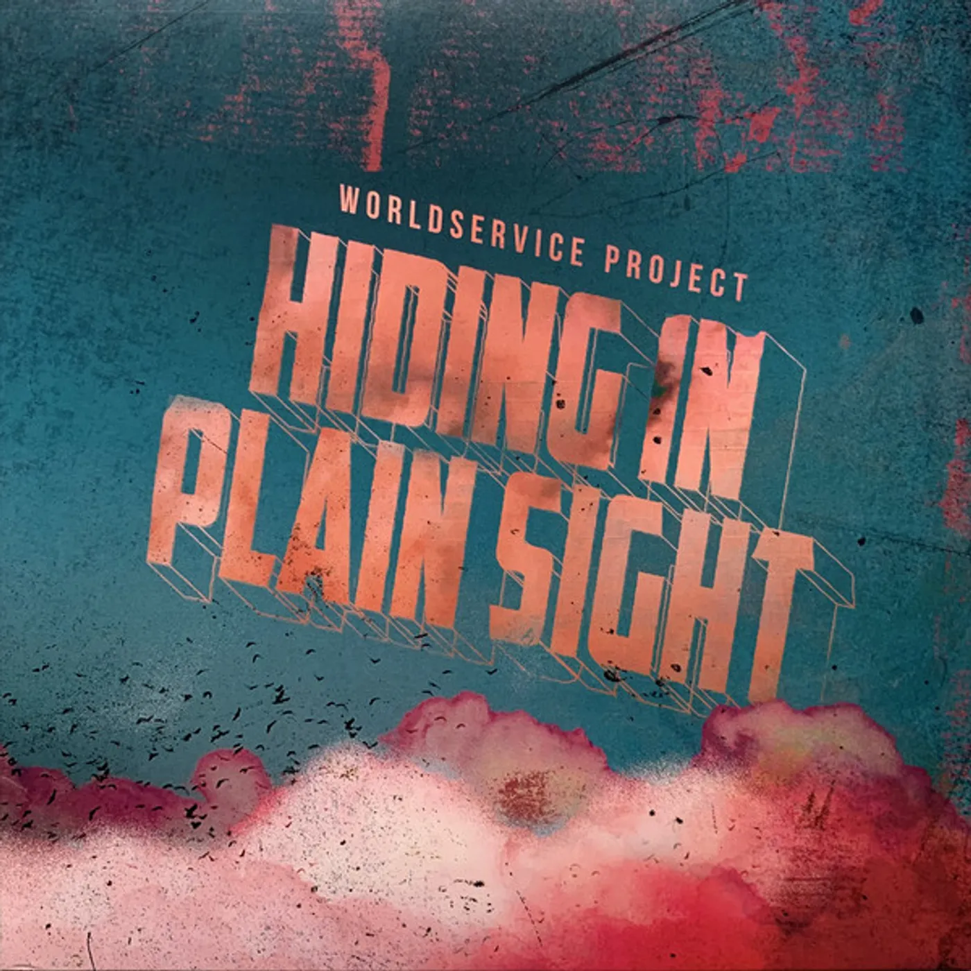 WorldService Project Hiding in Plain Sight Vinyl Record