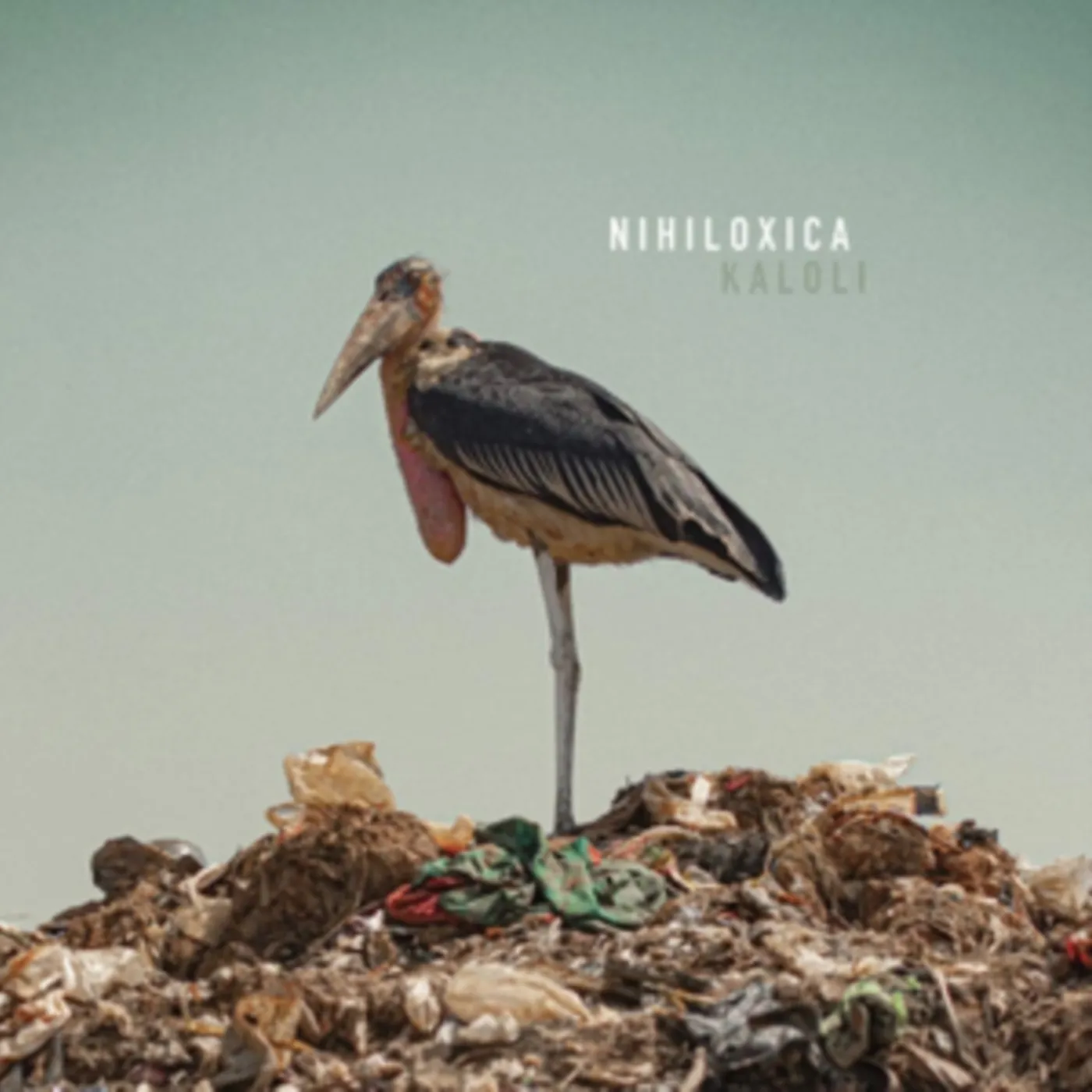 Nihiloxica Kaloli Vinyl Record