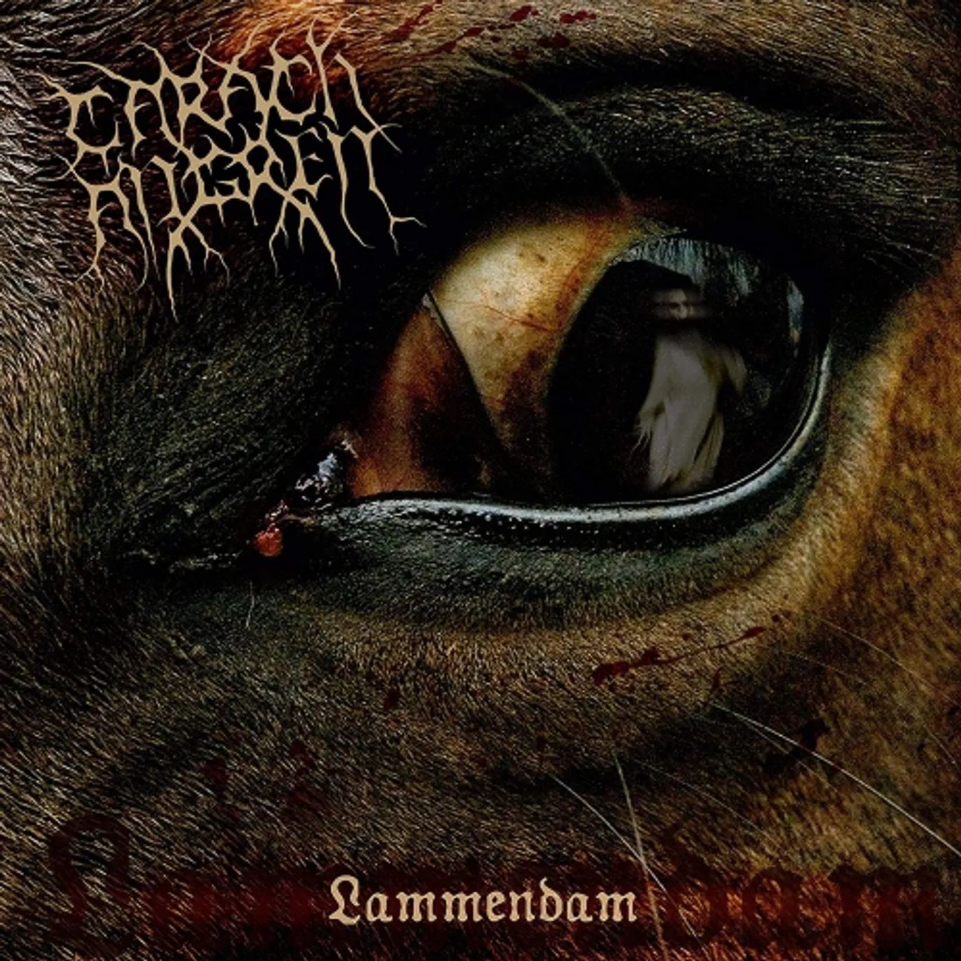Crippled Black Phoenix Lammendam Vinyl Record