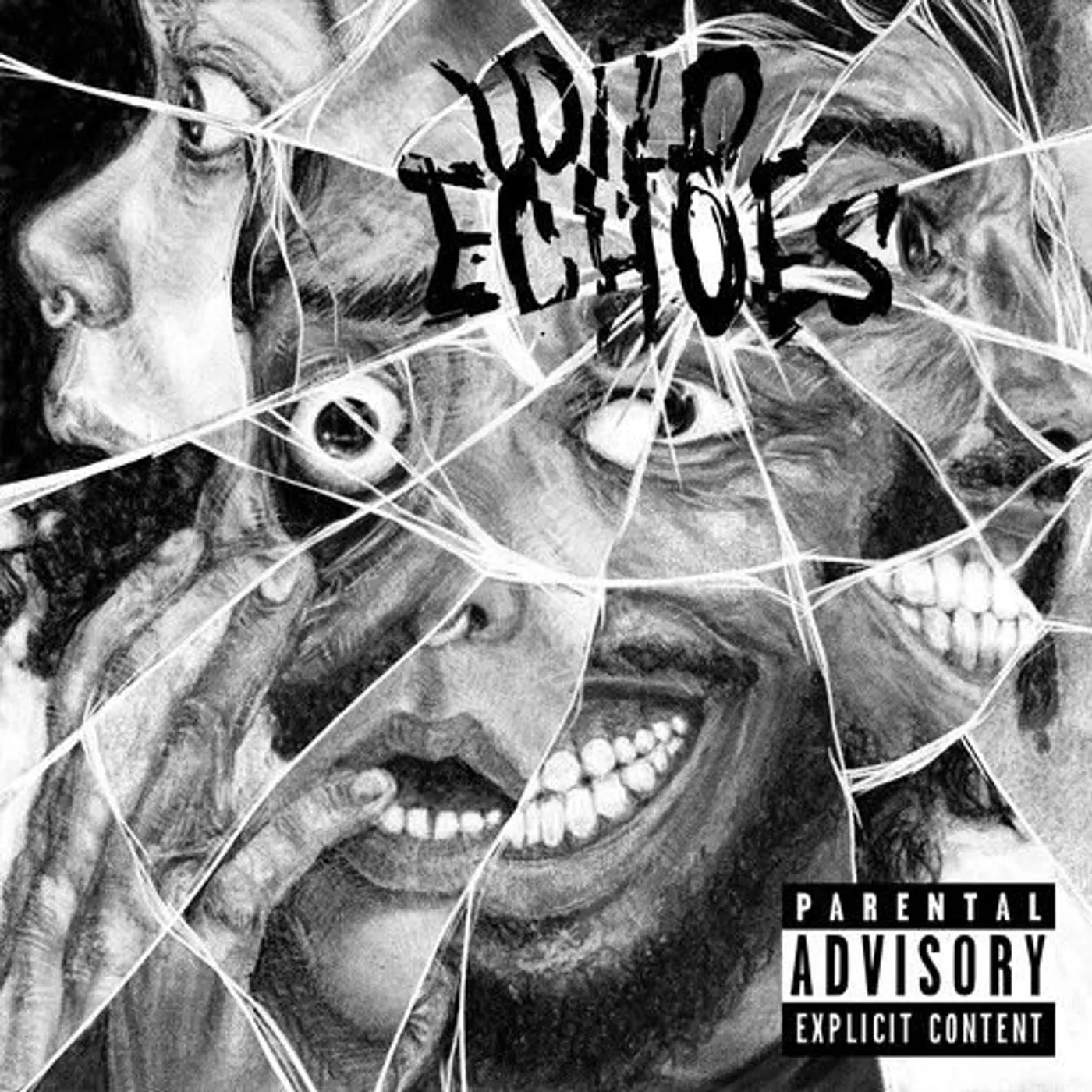 The Black Creatures Wild Echoes Vinyl Record