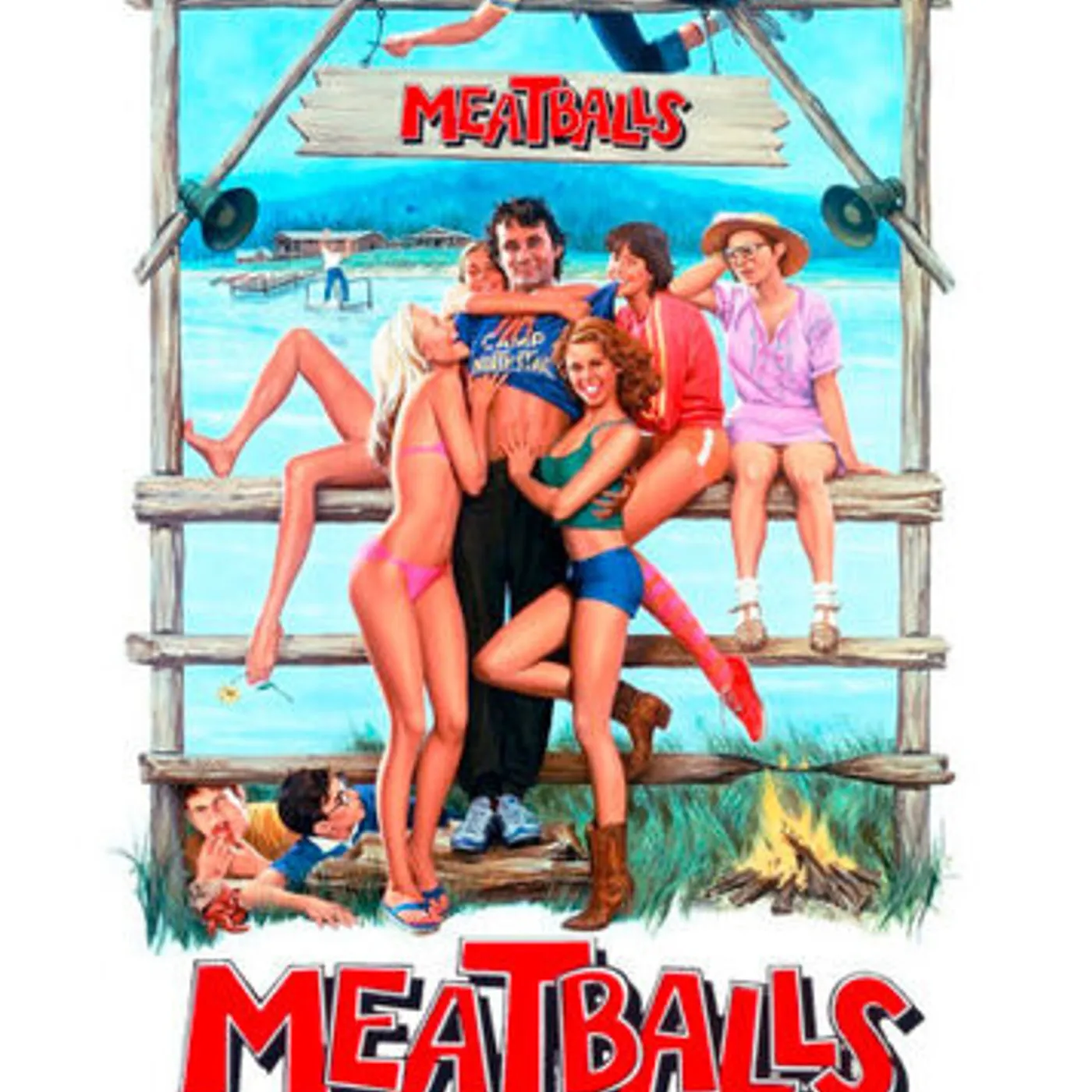 The Meatballs DVD