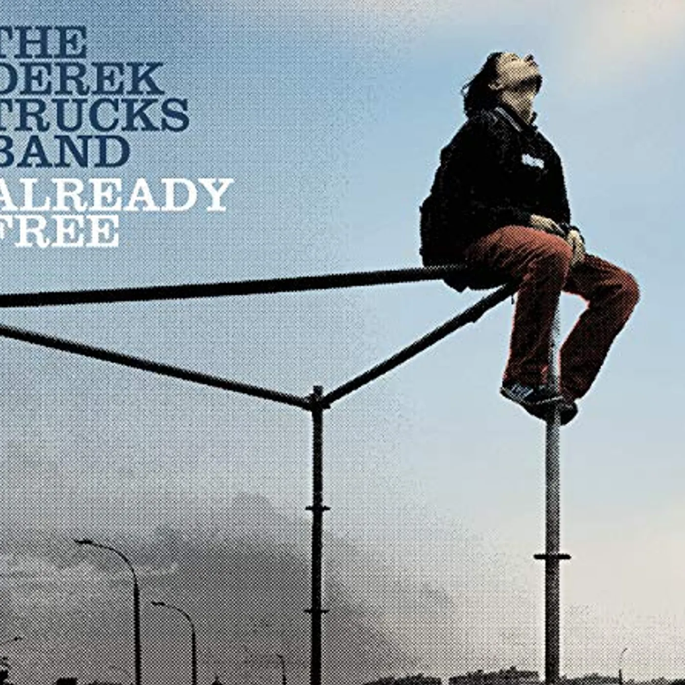The Derek Trucks Band Already Free Vinyl Record