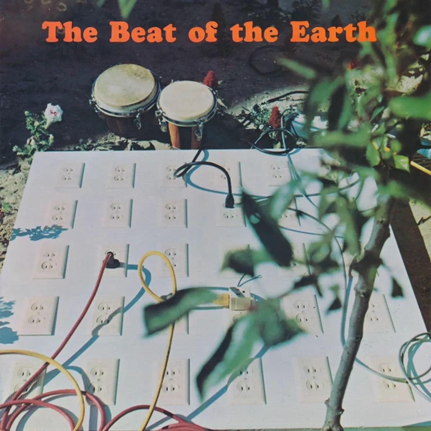 The Beat Of The Earth Vinyl Record