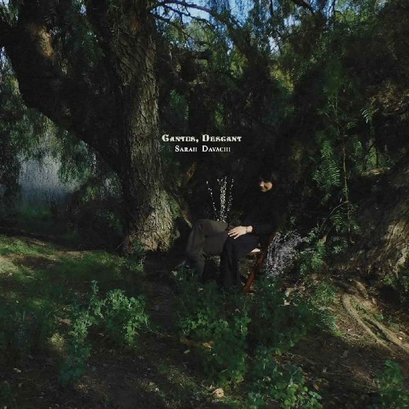 Sarah Davachi CANTUS DESCANT Vinyl Record