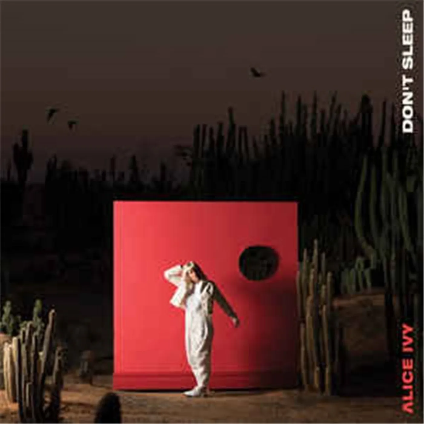Alice Ivy Don't Sleep Vinyl Record