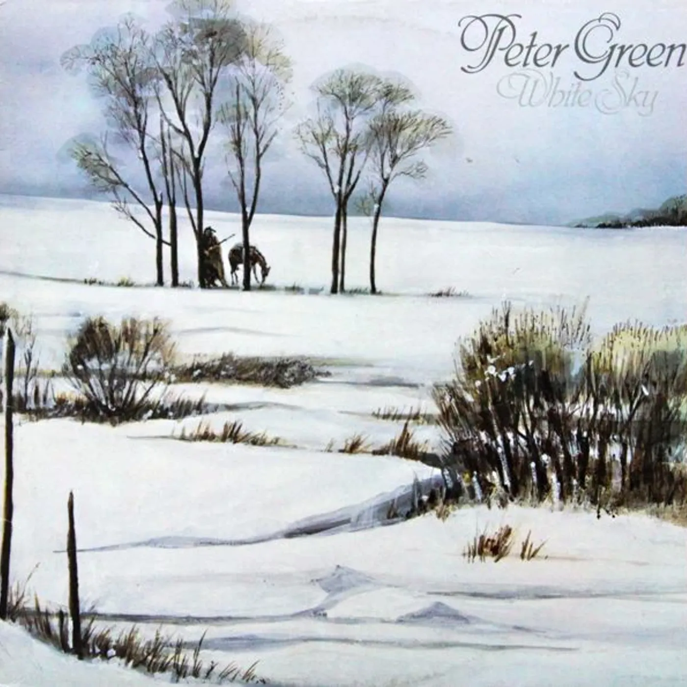 Peter Green WHITE SKY (180G/IMPORT) Vinyl Record