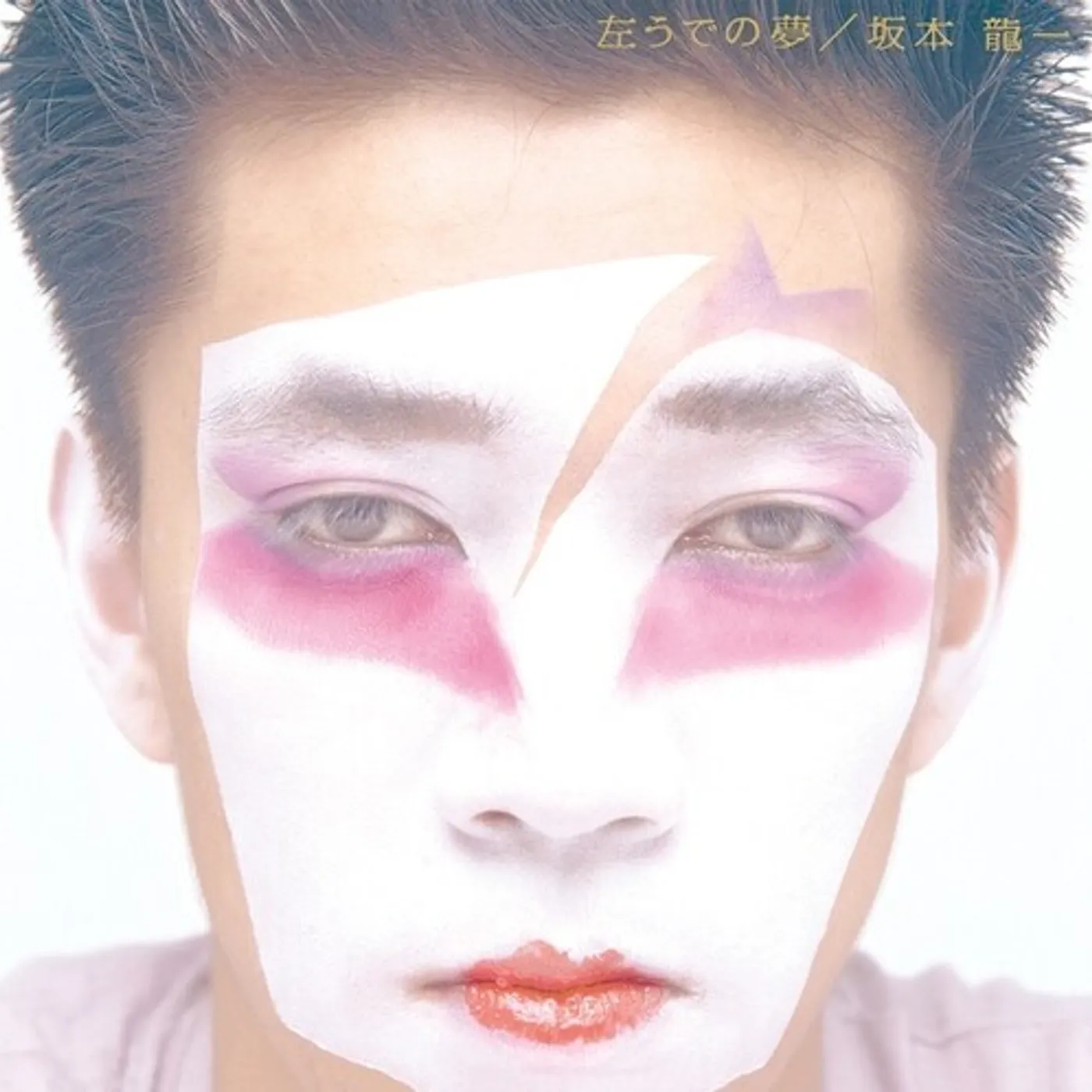 Ryuichi Sakamoto HIDARI UDE NO YUME CD
