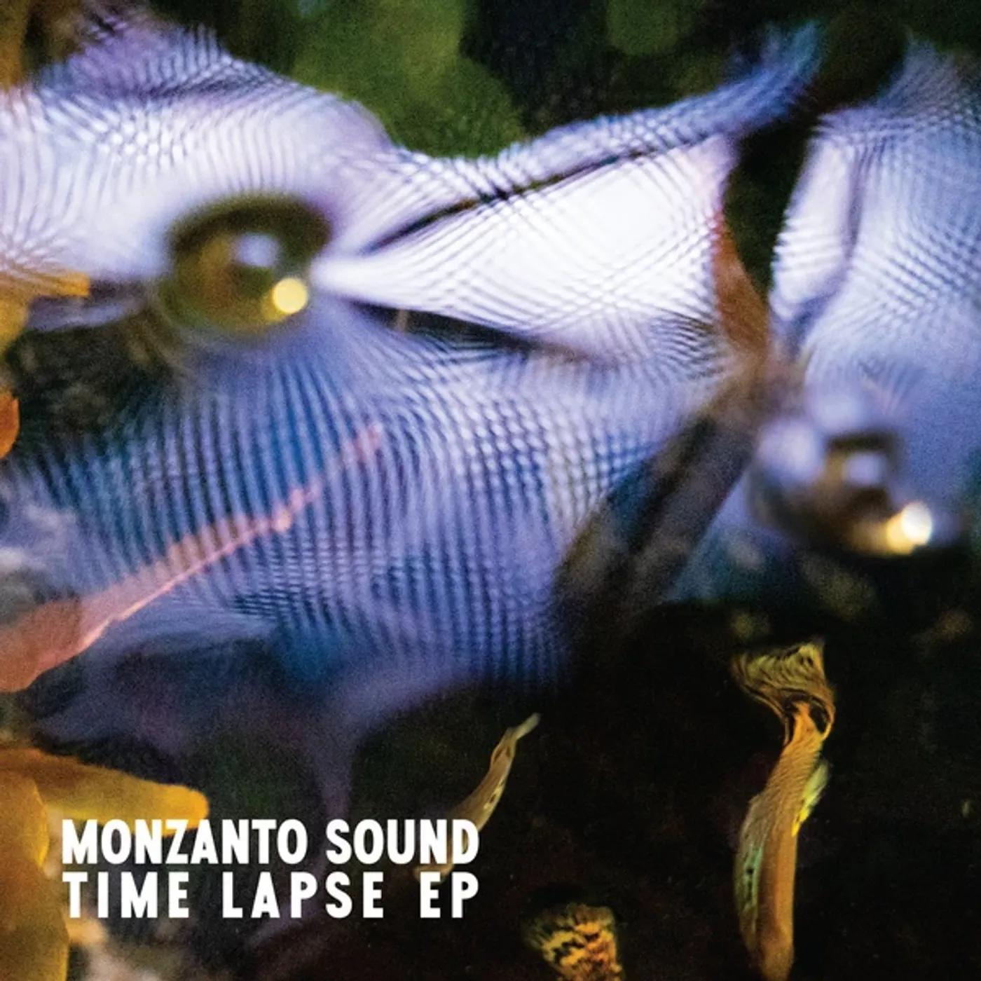 Monzanto Sound TIME LAPSE Vinyl Record