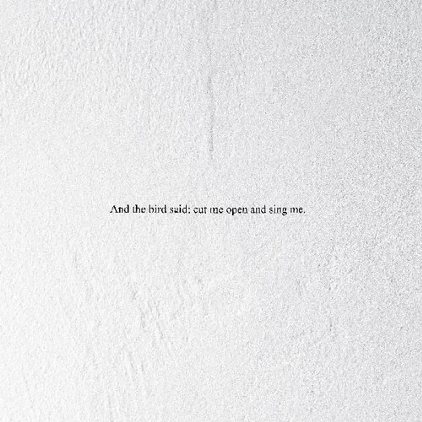 Prairie AND THE BIRD SAID: CUT ME OPEN & SING ME CD