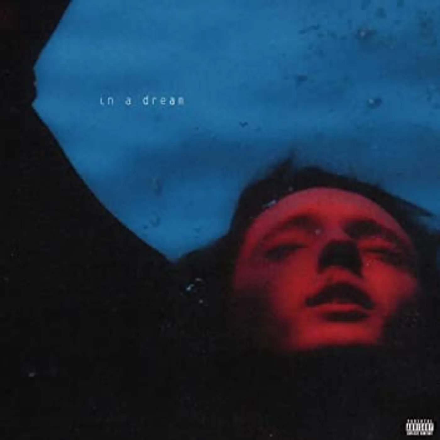 Troye Sivan In A Dream Vinyl Record