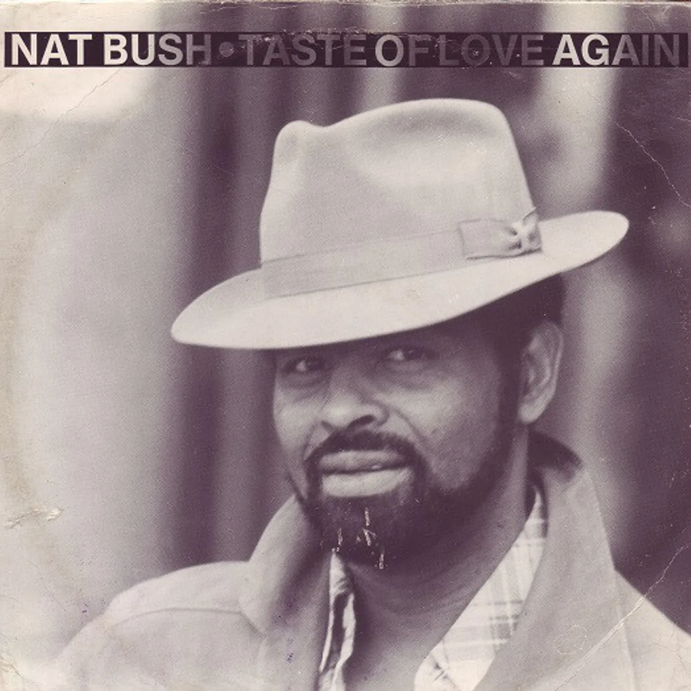Nat Bush Taste Of Love Again Vinyl Record