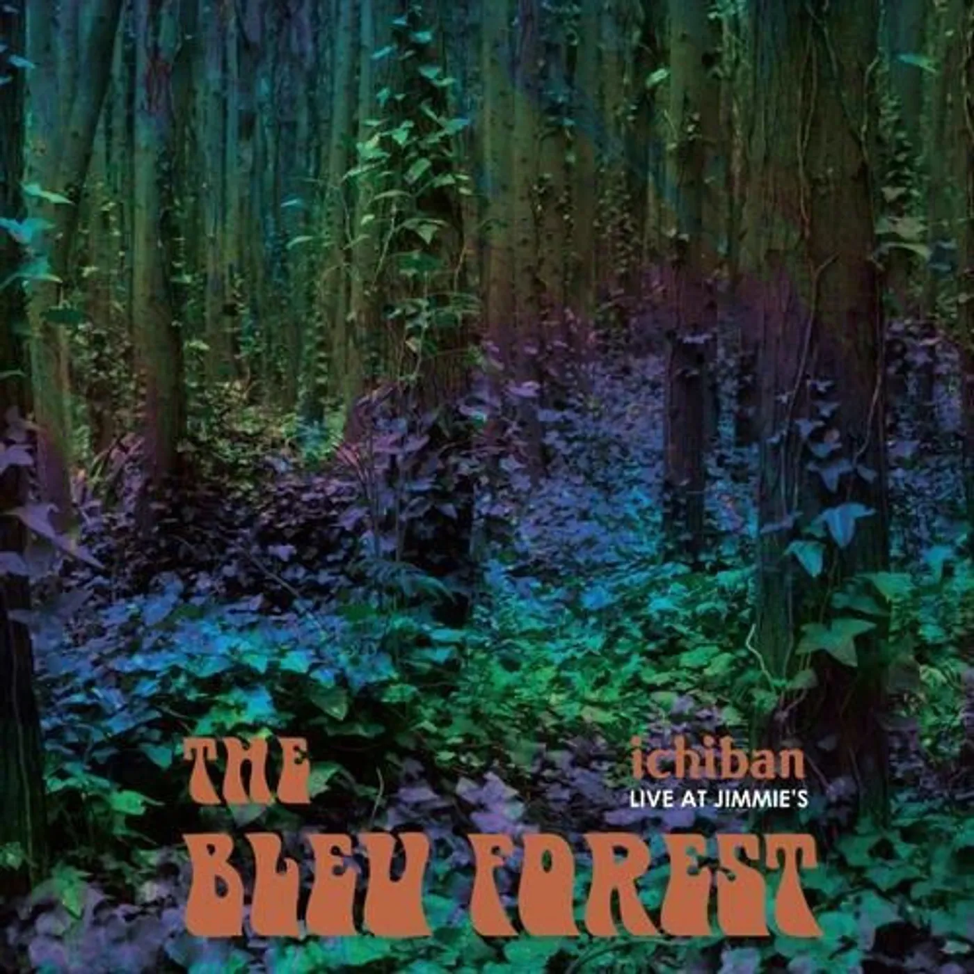 Bleu Forest ICHIBAN LIVE AT JIMMIE'S Vinyl Record