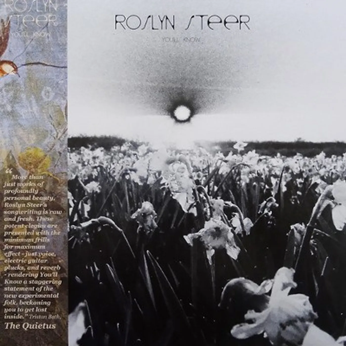 Roslyn Steer You'll Know Vinyl Record