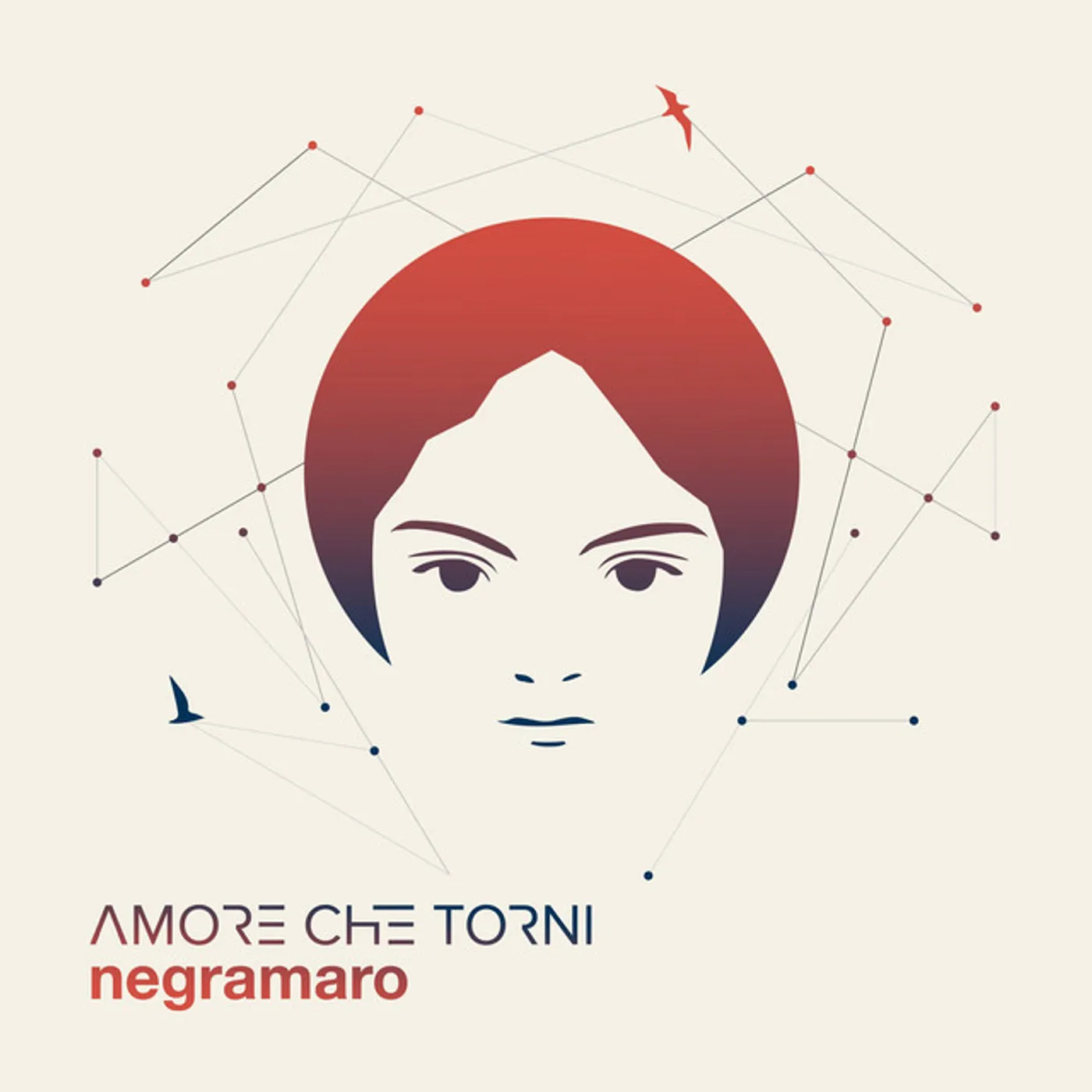 Negramaro Amore Che Torni Vinyl Record
