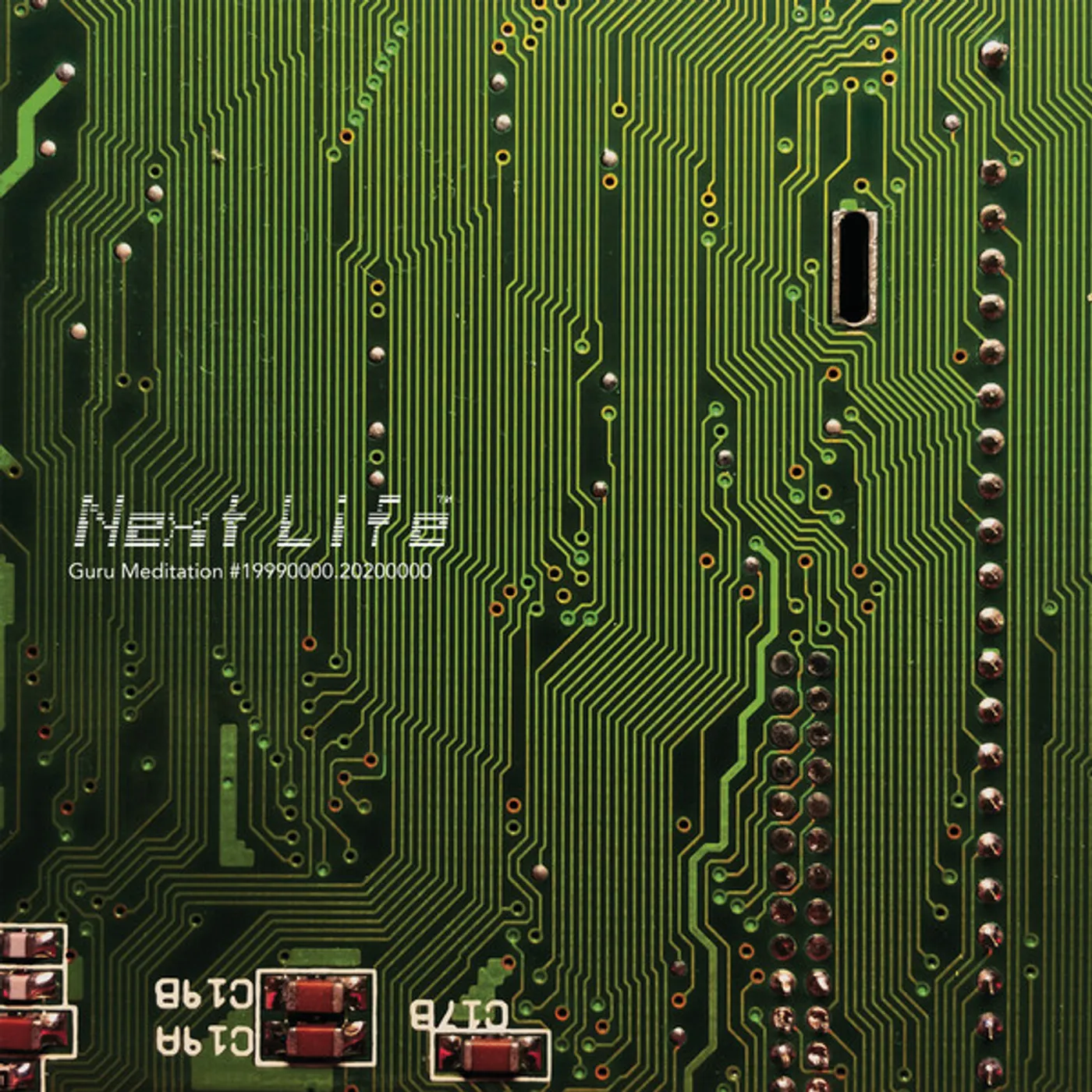 Next Life Guru Meditation Vinyl Record
