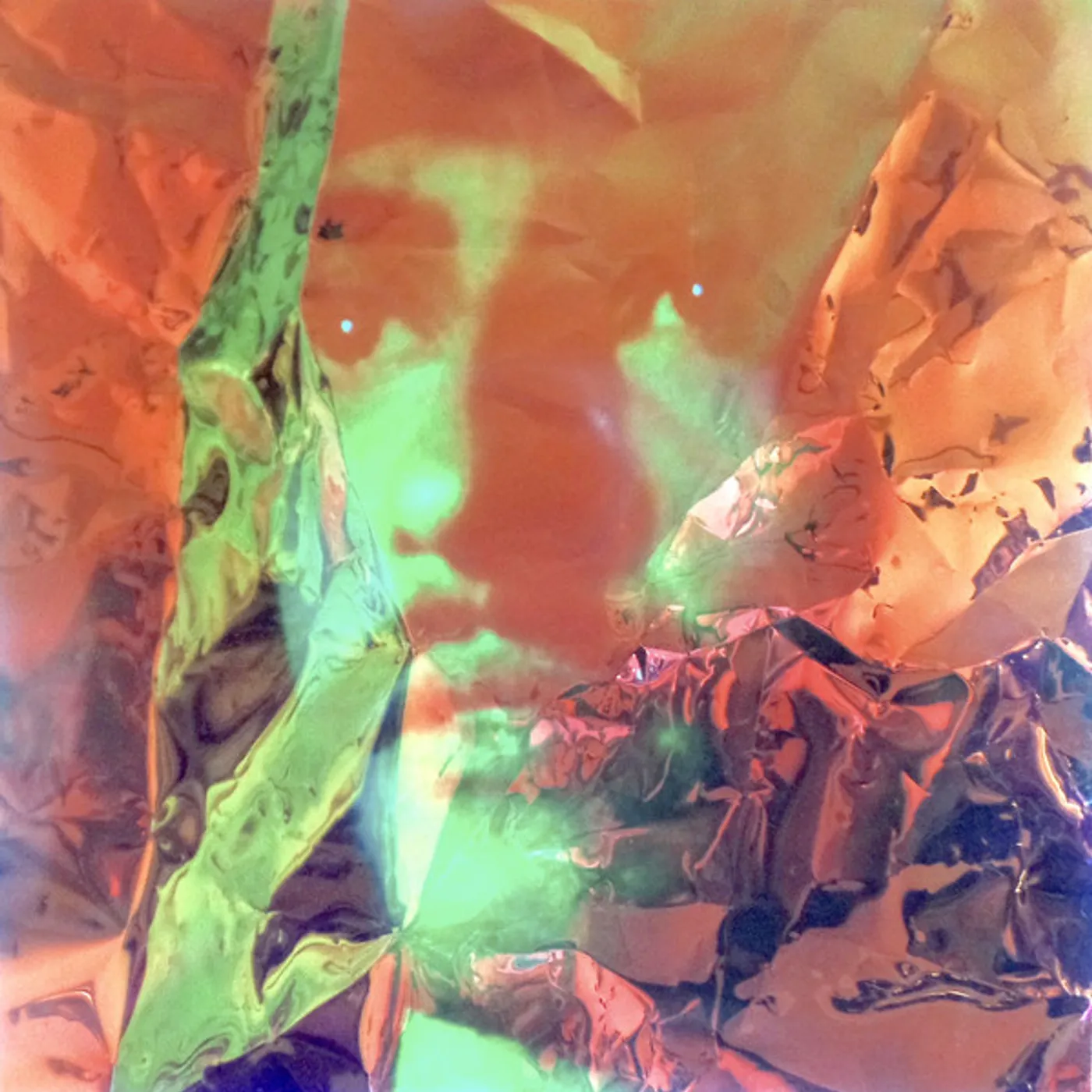 Searching for Dimorphodons Vinyl Record