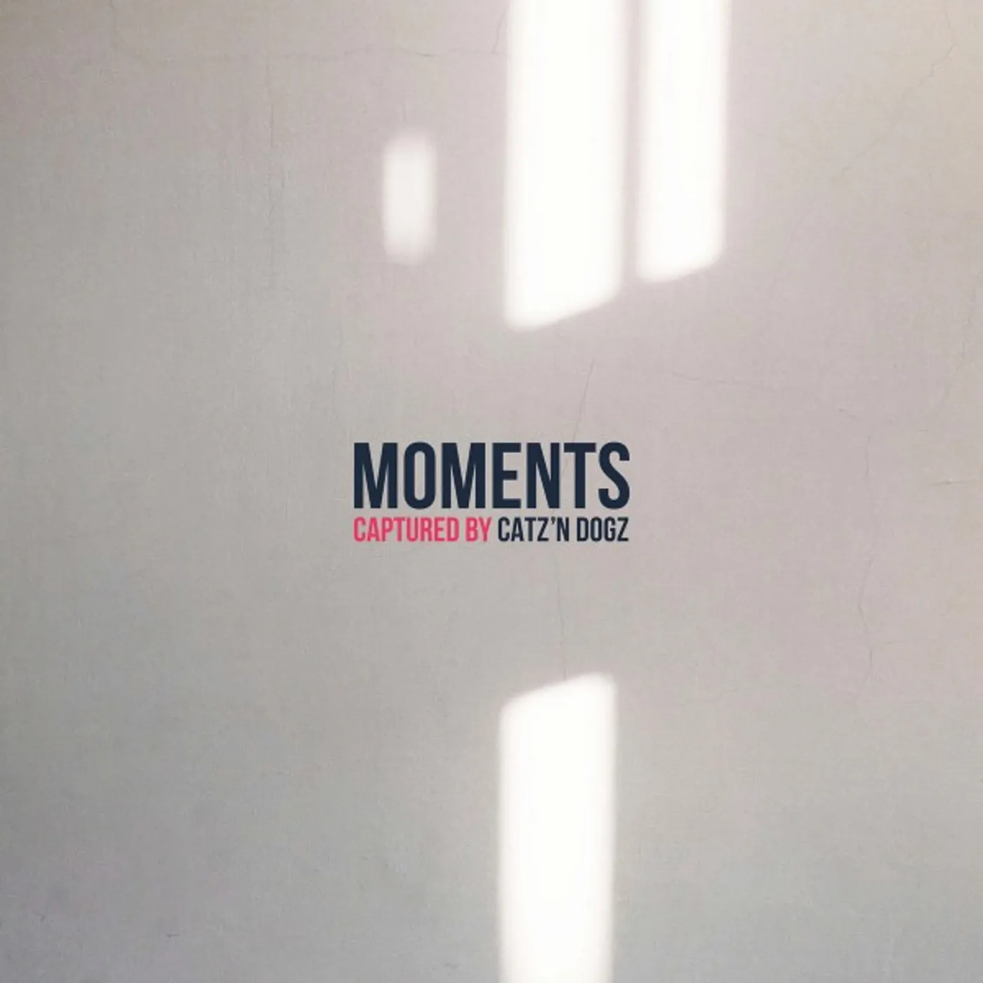 Catz 'n Dogz Moments Vinyl Record