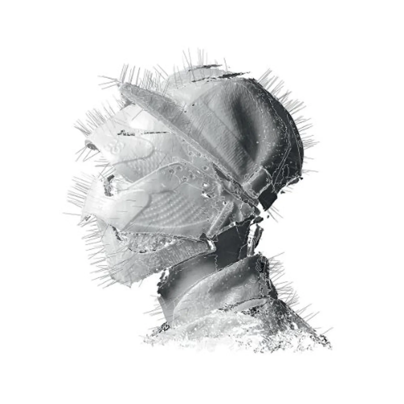 Woodkid GOLDEN AGE Vinyl Record