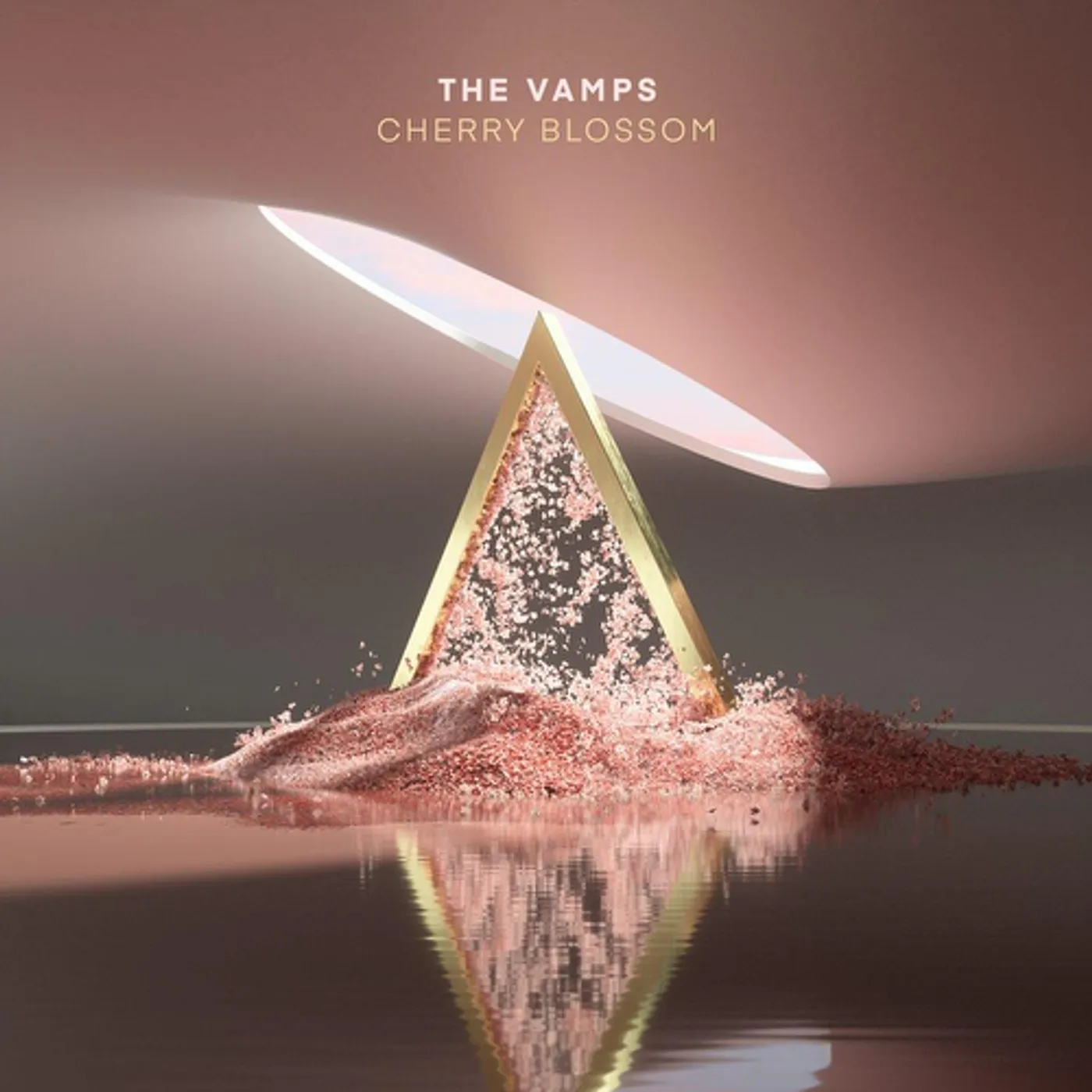 The Vamps Cherry Blossom Vinyl Record
