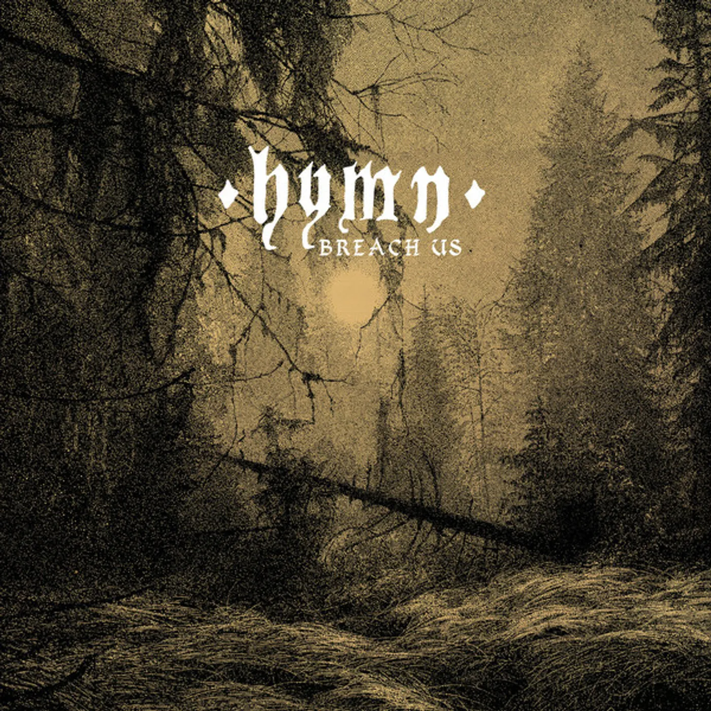 Hymn Breach Us Vinyl Record