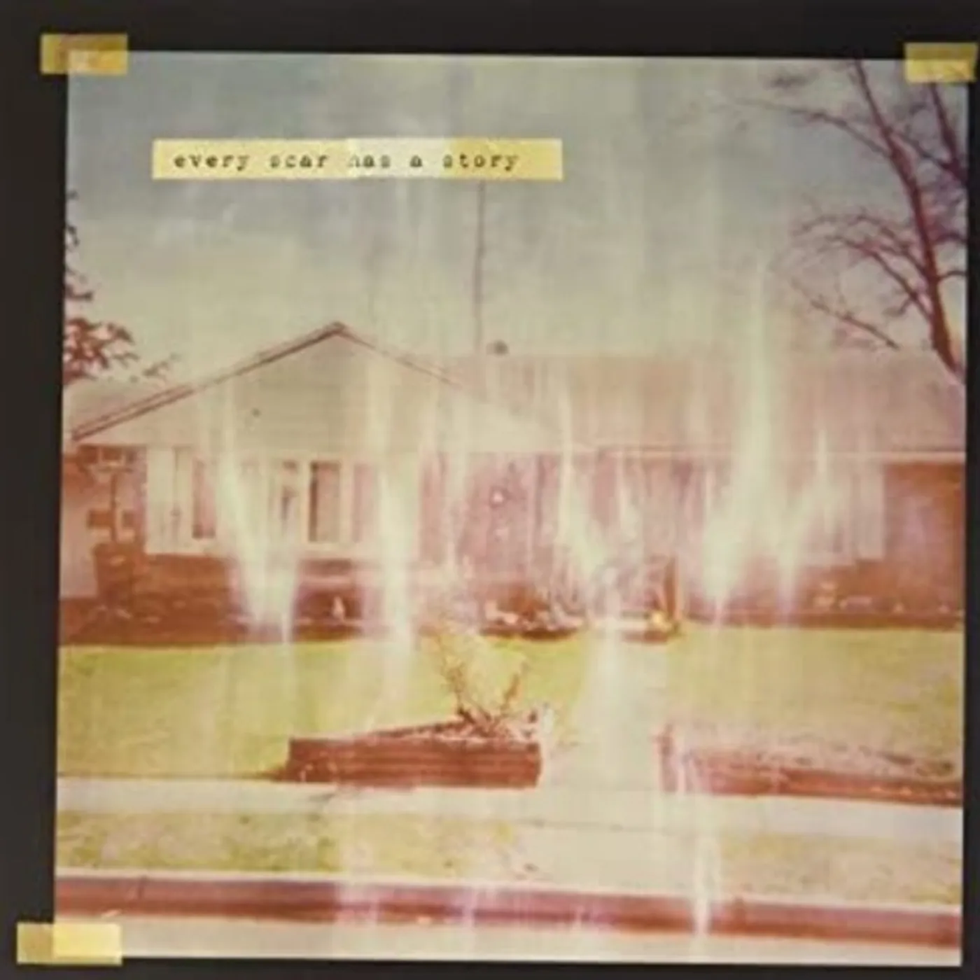 EVER SCAR HAS A STORY Vinyl Record