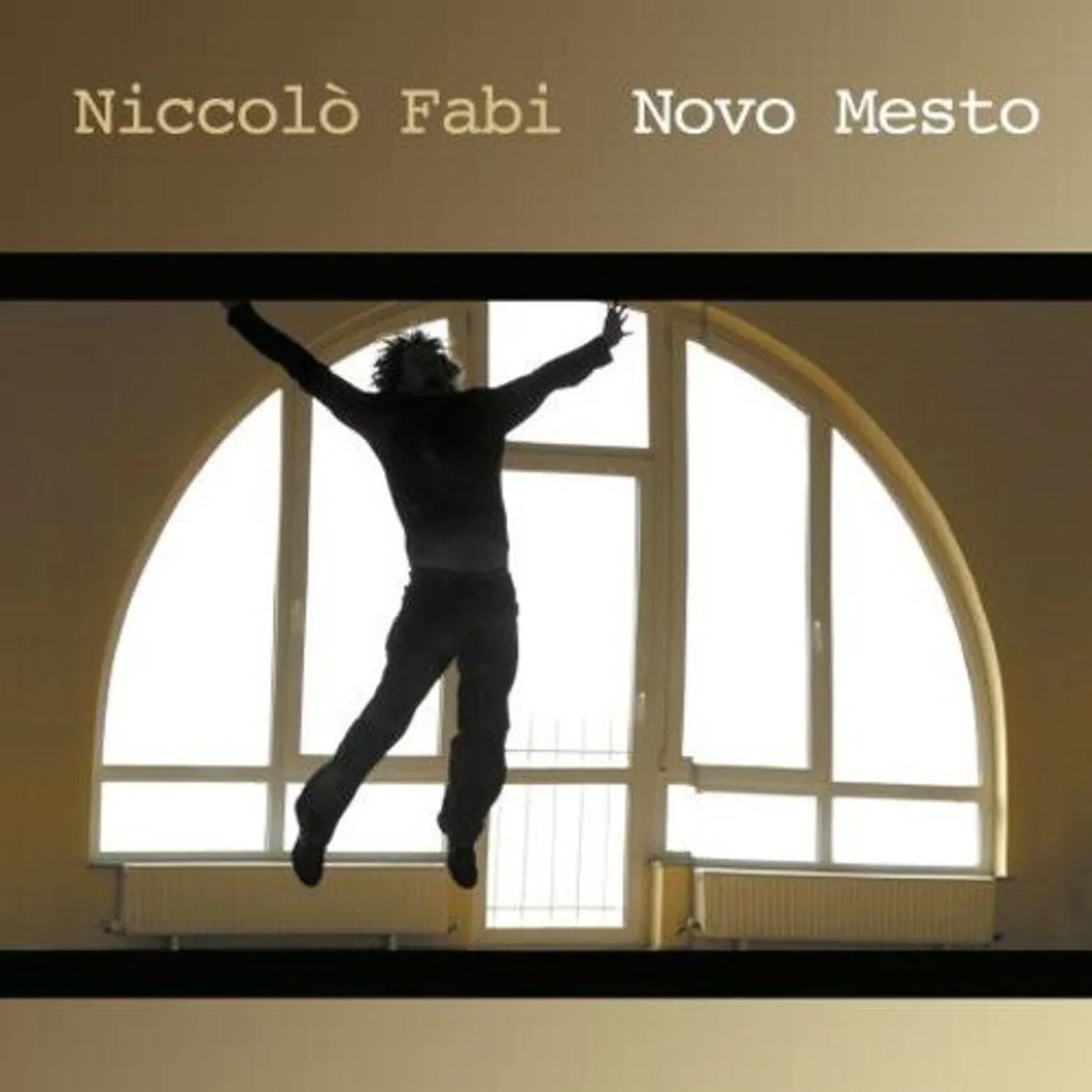 Niccolò Fabi Novo Mesto Vinyl Record