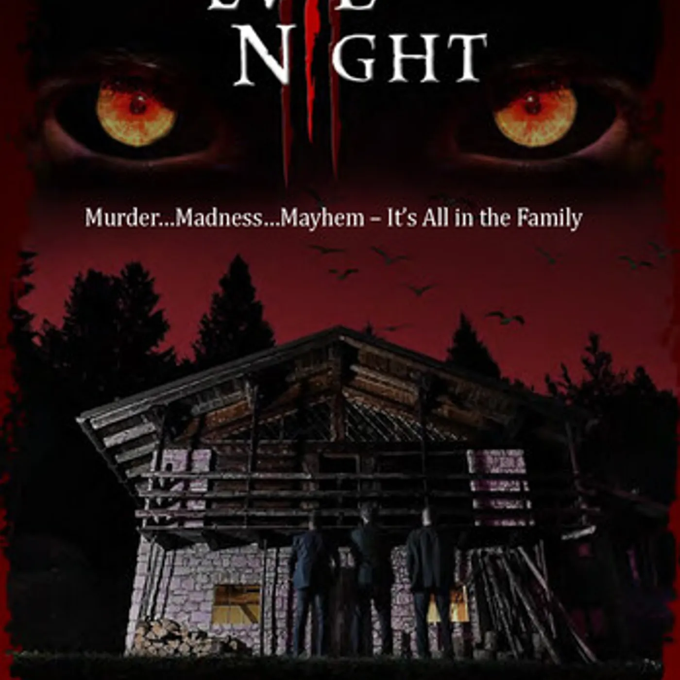 EVIL NIGHT DVD
