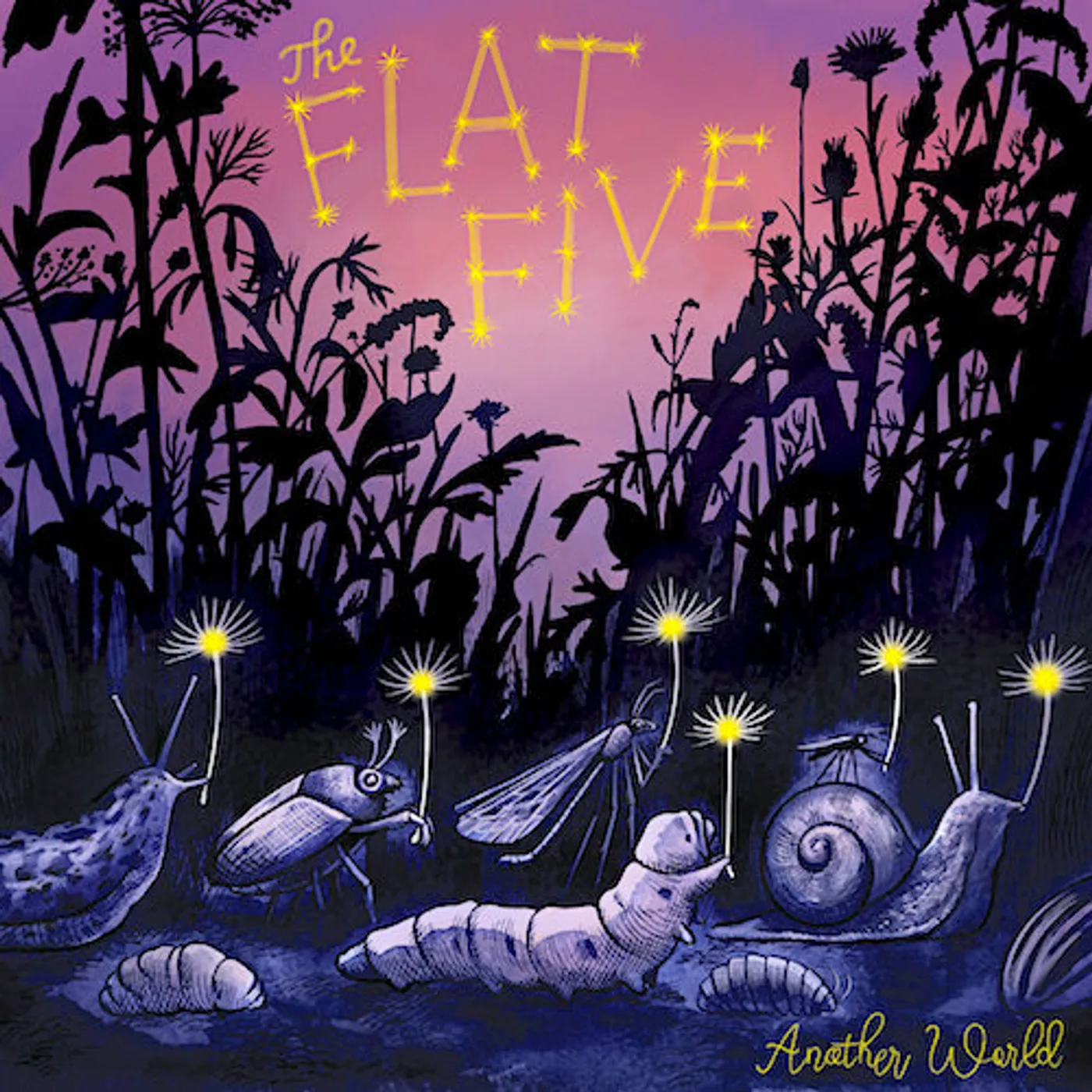The Flat Five Another World Vinyl Record