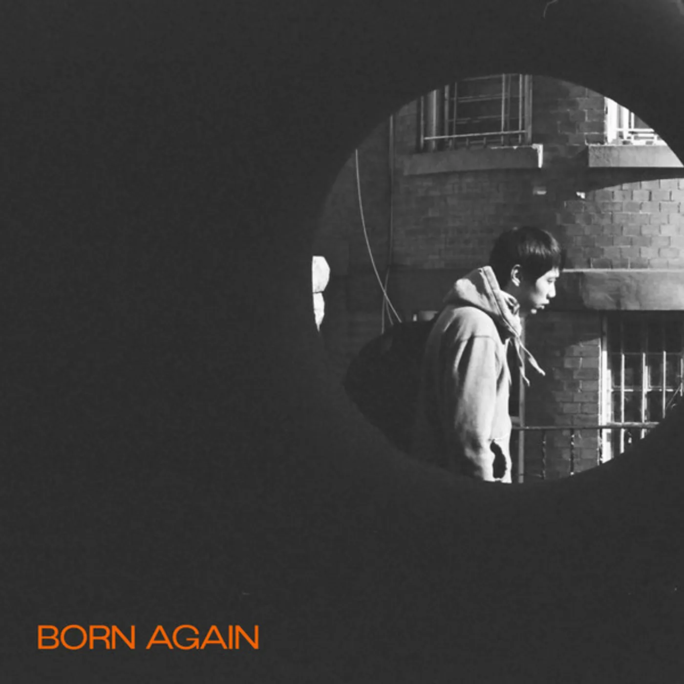 YL, Zoomo BORN AGAIN Vinyl Record