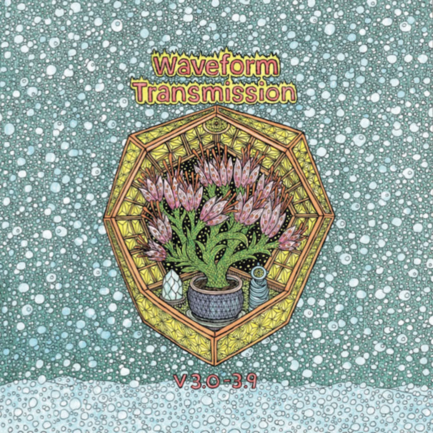 Waveform Transmission V 3.0 - 3.9 Vinyl Record