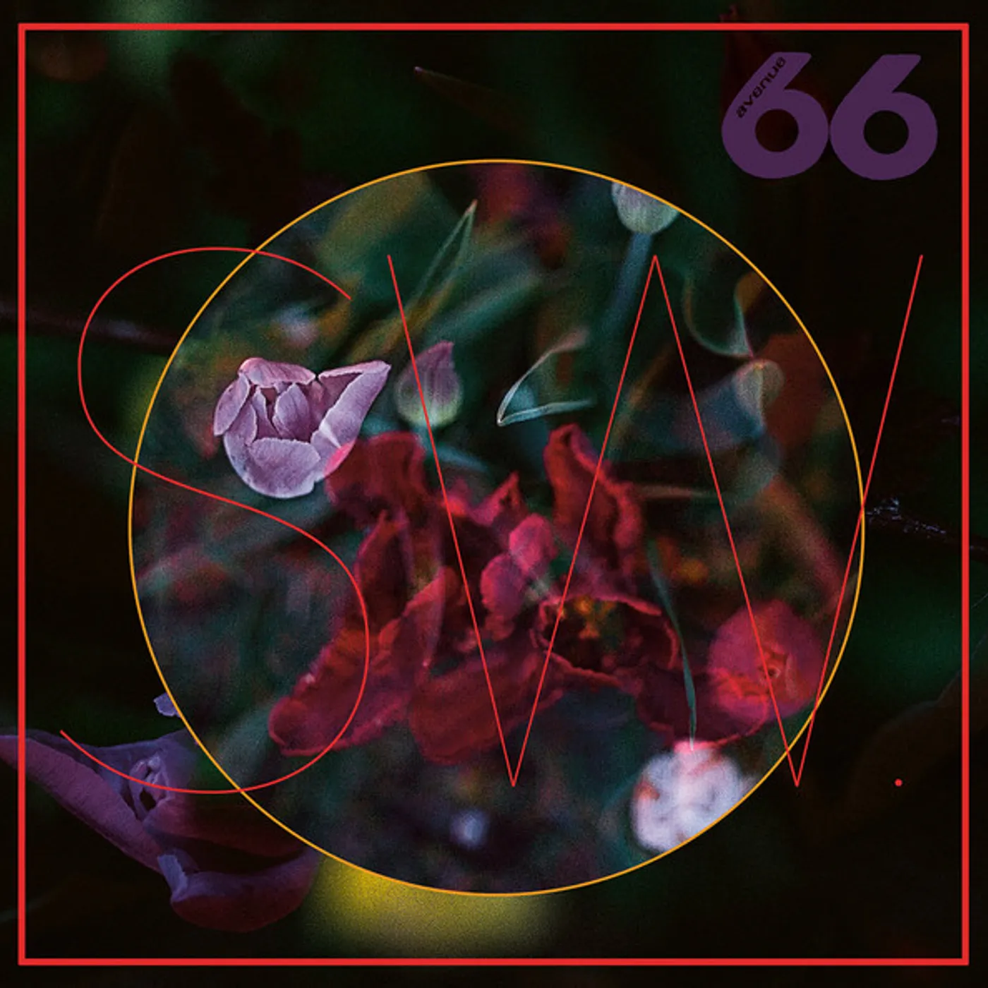 SW TRUELIPS Vinyl Record